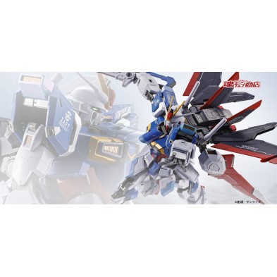 [METAL BUILD] 力量脈衝高達 (魂Shop限定)